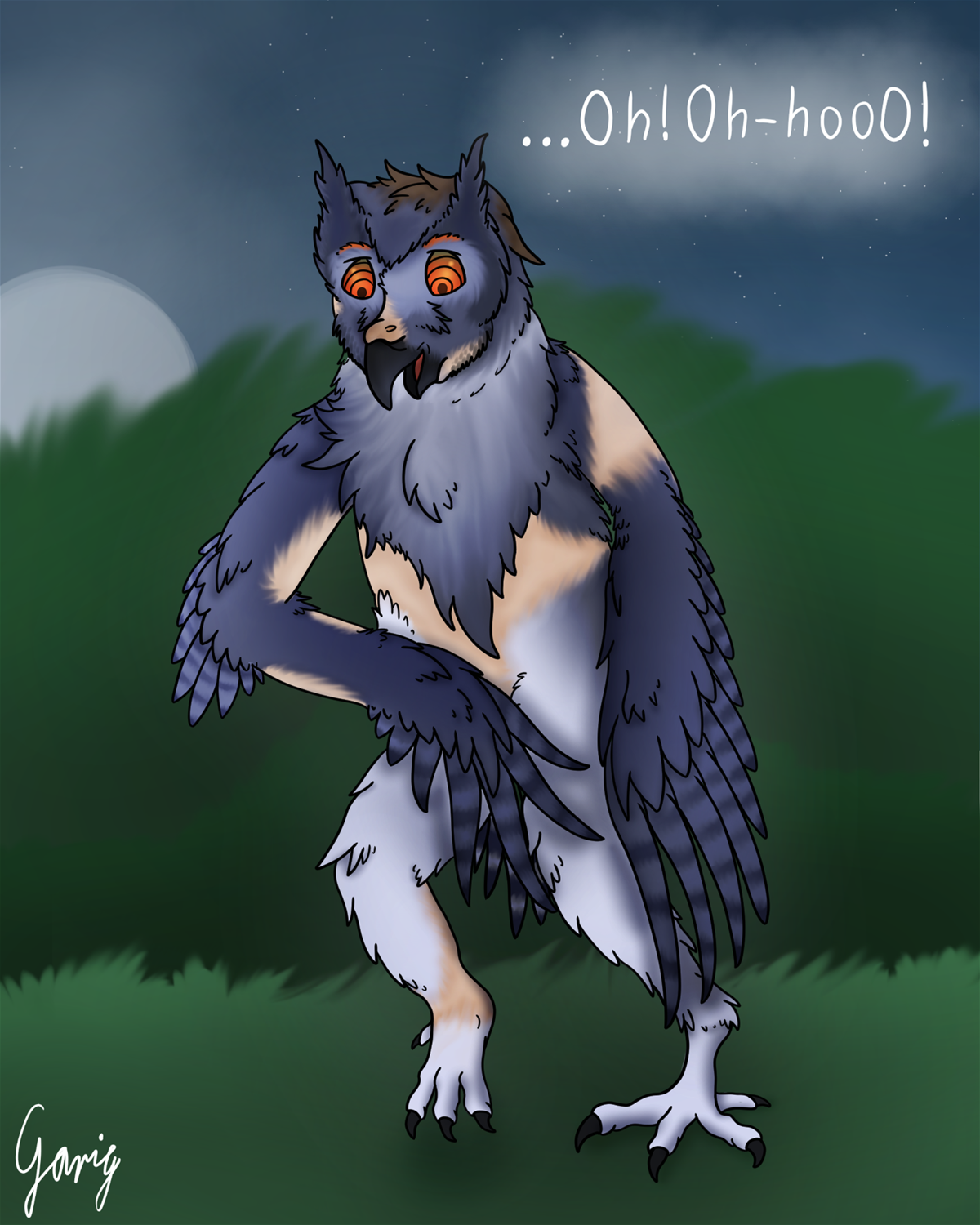 Night-time Hypnowlsis by Garig1510