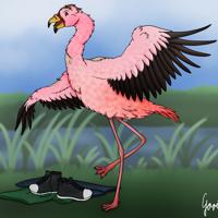Flamingo Dance! by Garig1510