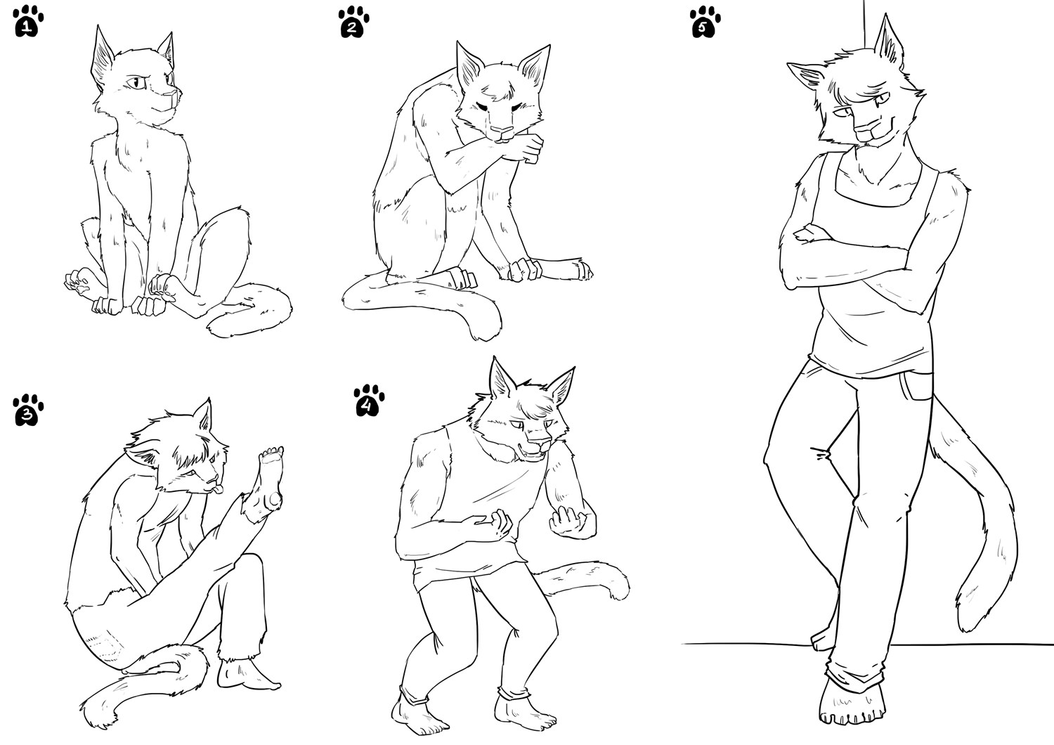 Cat Evolve by Ichihara-chan