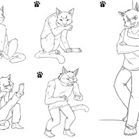 Cat Evolve by Ichihara-chan