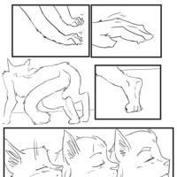 Sequence Image 2