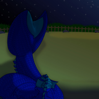 Sequence Image 6