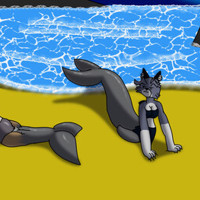 Sequence Image 2