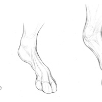 Sequence Image 2