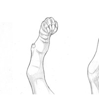 Sequence Image 3