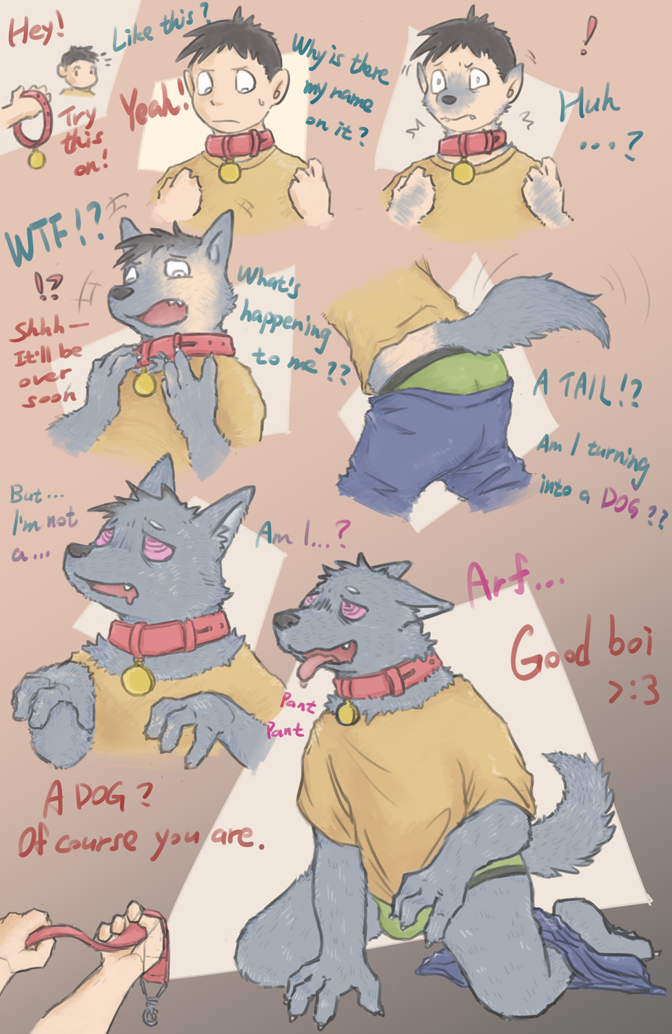 collar TF by Moonlycan