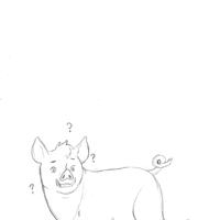 Sequence Image 5