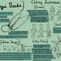 Sequence Image 2
