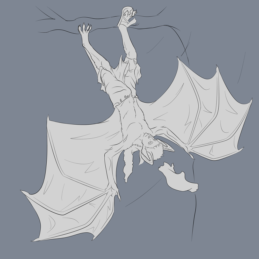 Bat transformation by Niche