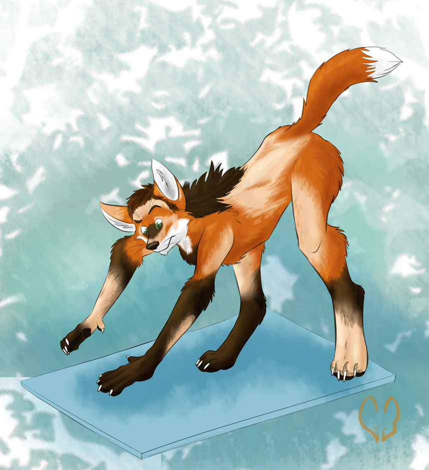 TFerscore: Let's Step Up the Intensity by Niche