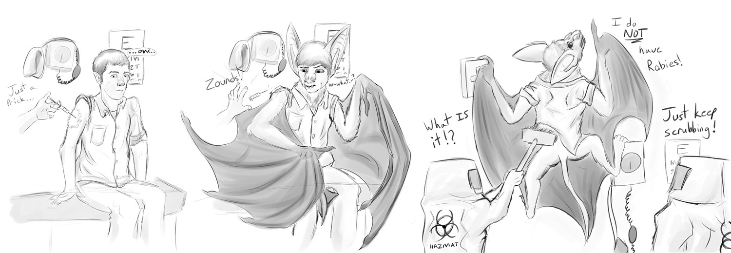 Overreaction by Niche
