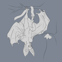 Sequence Image 5
