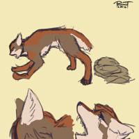 Sequence Image 3