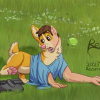 Sequence Image 8