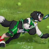 Sequence Image 12