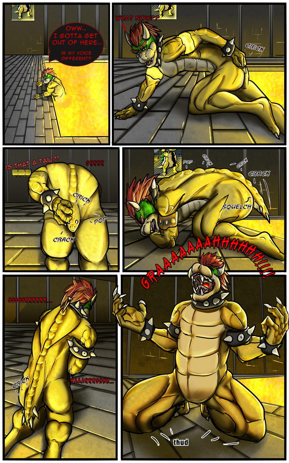 Koopas Lava by Subject-C