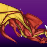 Sequence Image 7