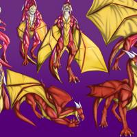 Sequence Image 9