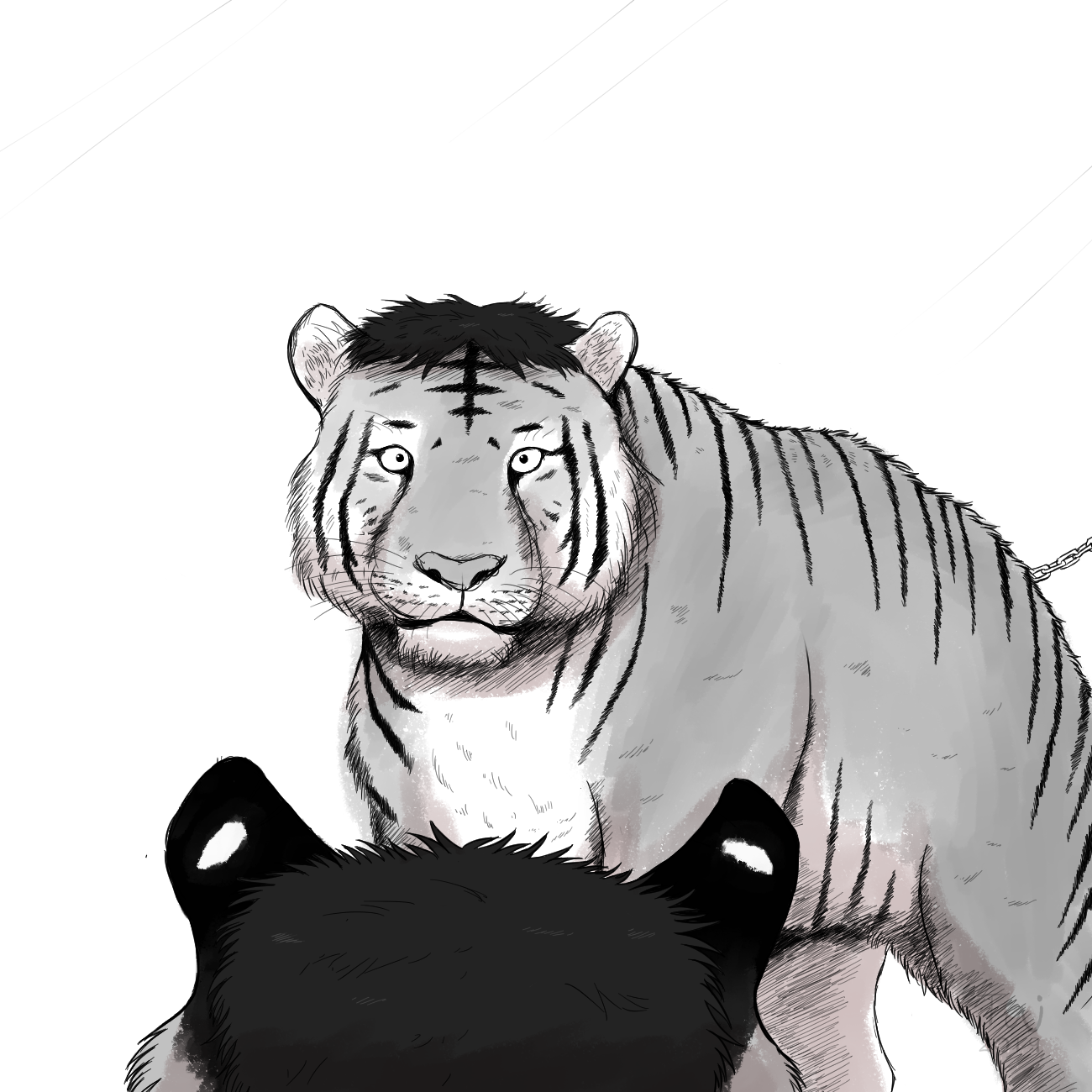 Tiger by Taitora