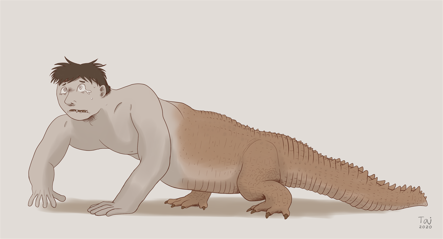 Alligator by Taitora