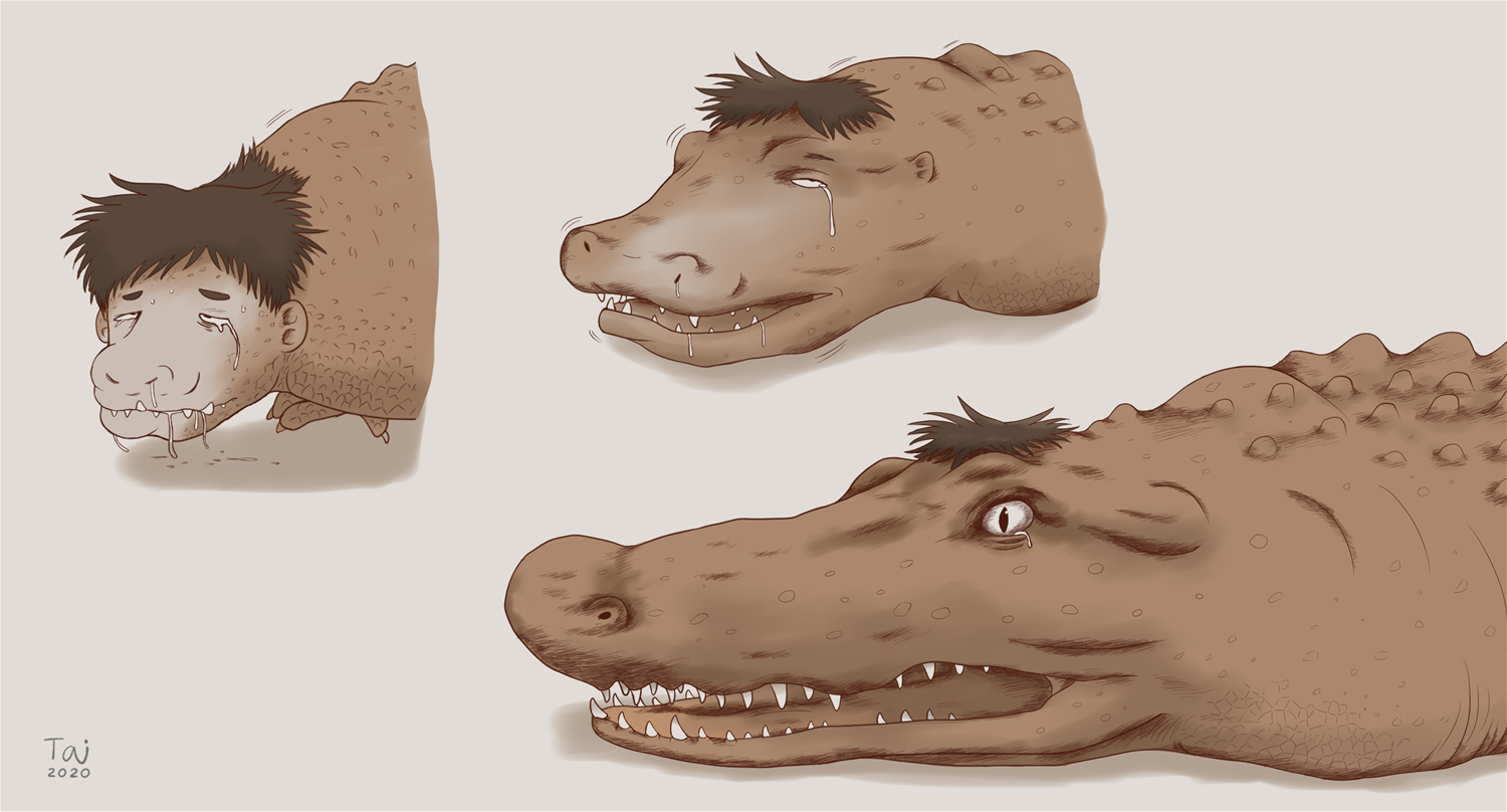Alligator by Taitora