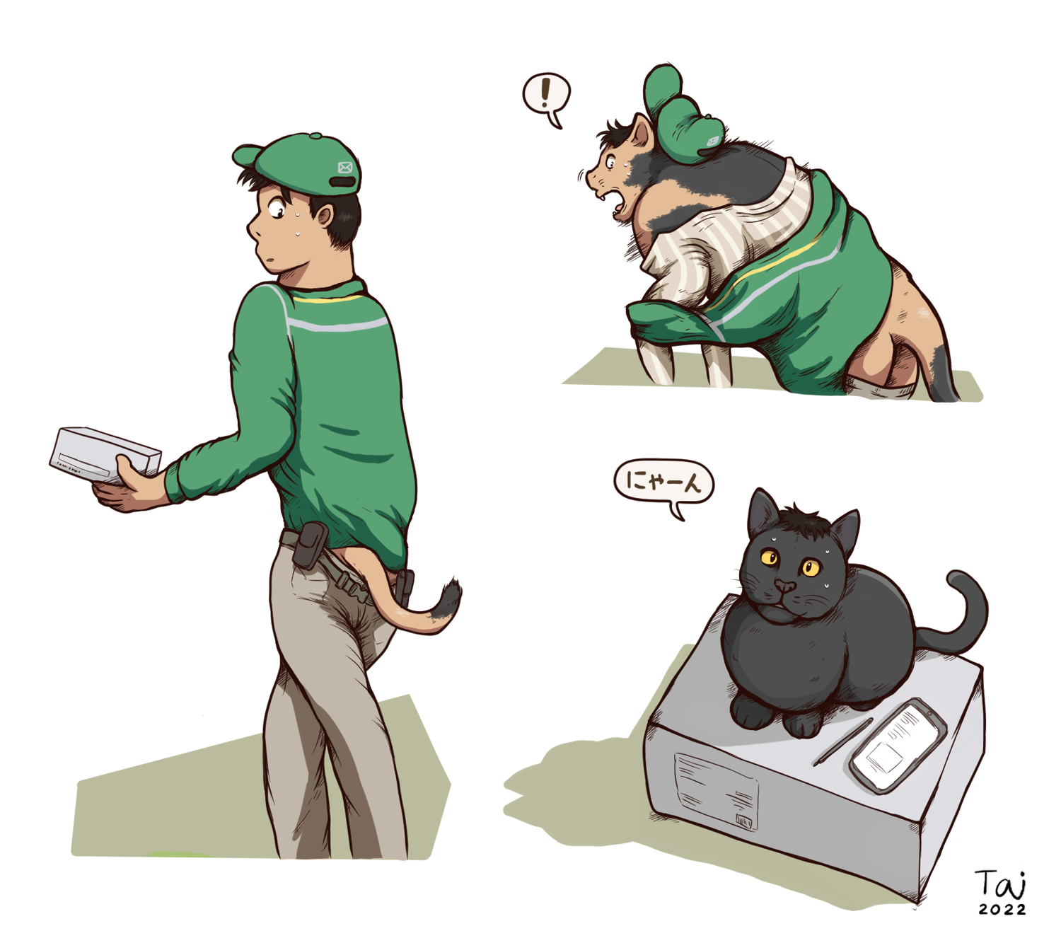 Cat Delivery by Taitora