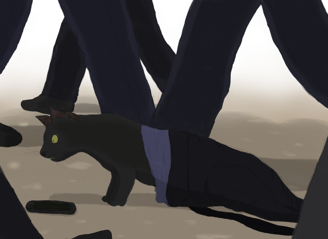 Stray cat by Taitora