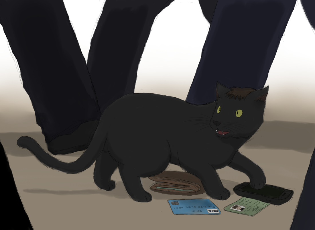 Stray cat by Taitora