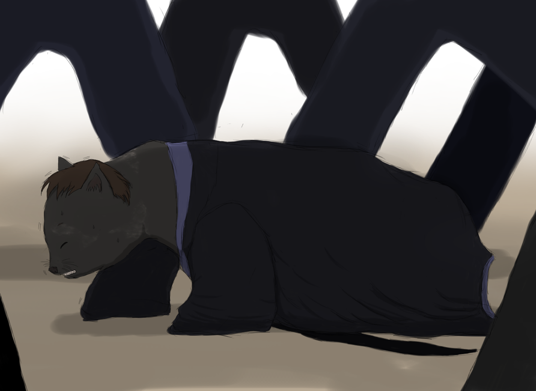Stray cat by Taitora