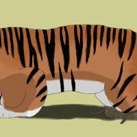 Sequence Image 9