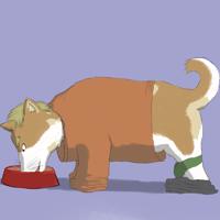 Sequence Image 4