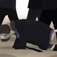 Sequence Image 4