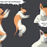 Sequence Image 3