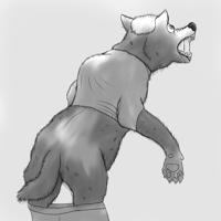 Sequence Image 3