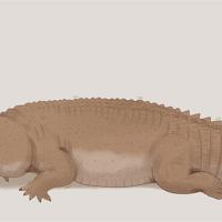 Sequence Image 2
