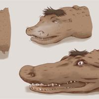Sequence Image 3