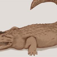 Sequence Image 4