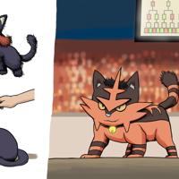 Sequence Image 6