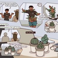 Sequence Image 2