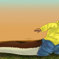 Sequence Image 2