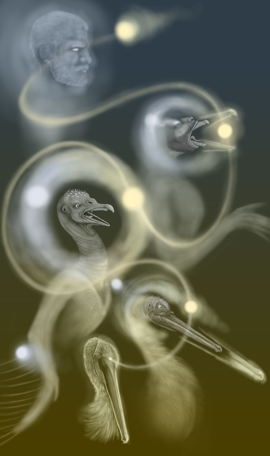 pelican tf orb that tf's u into a pelican or something by ThirdFloorChord