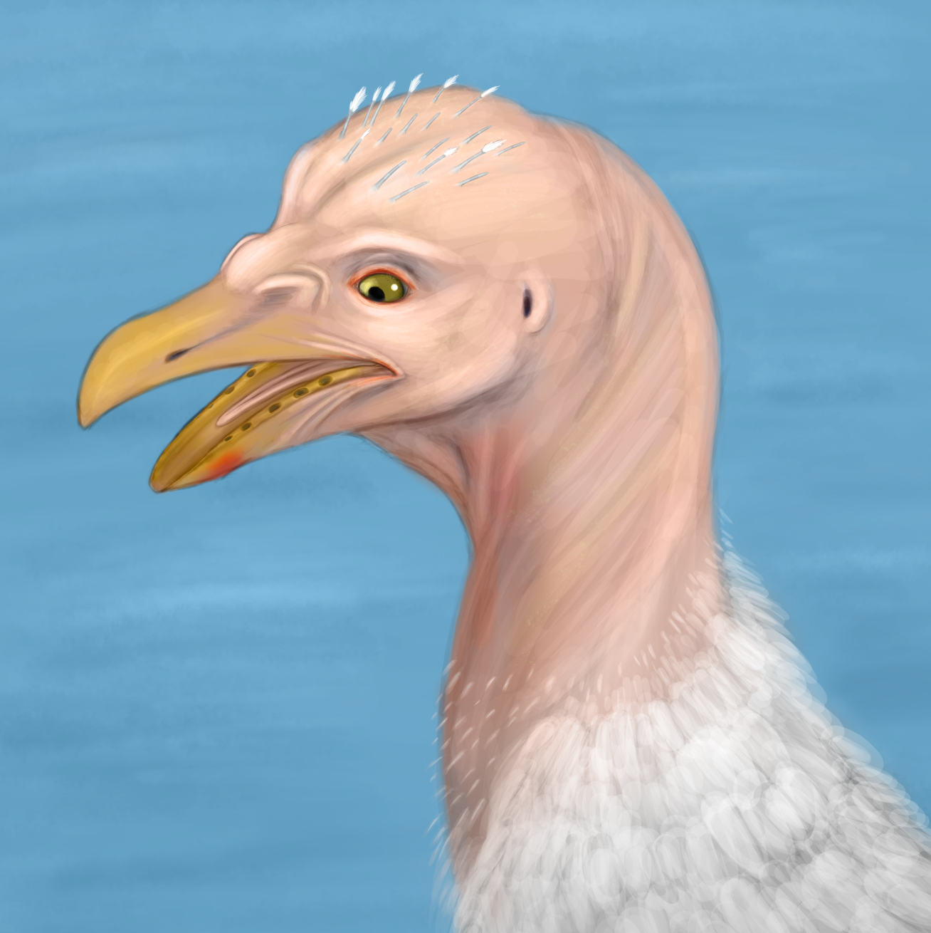silvergull but its not the one from australia by ThirdFloorChord