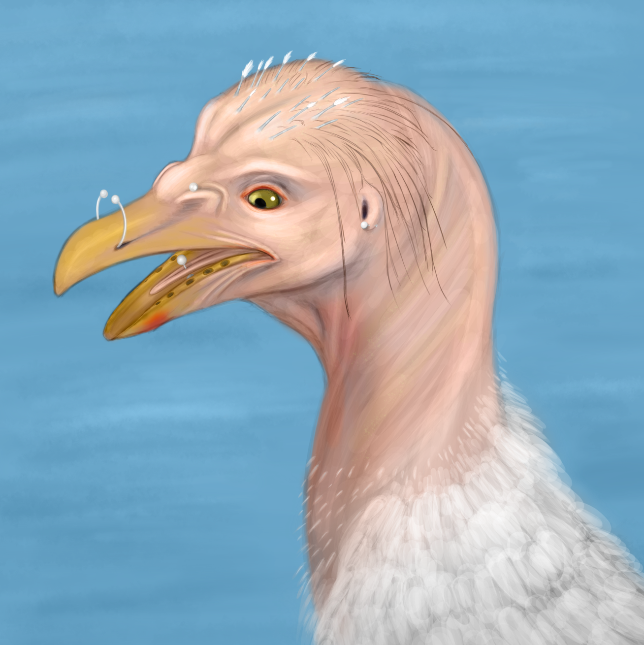 silvergull but its not the one from australia by ThirdFloorChord