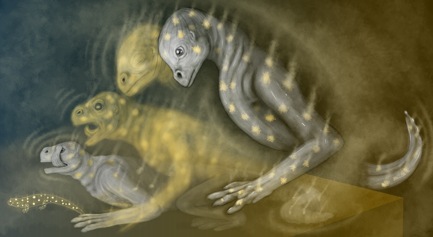salamander spots by ThirdFloorChord