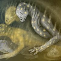 salamander spots by ThirdFloorChord