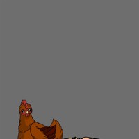 Sequence Image 9
